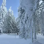 Apartmán Pohorje Pearl Lux, 2-floor Apartment, In *