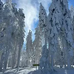 Pohorje Pearl Lux, 2-floor Apartment, In Apartmán Hočko Pohorje