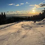 Pohorje Pearl Lux, 2-floor Apartment, In *