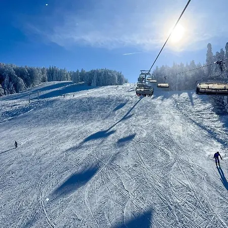 Lejlighed Pohorje Pearl Lux, 2-floor *