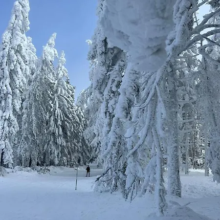 Διαμέρισμα Pohorje Pearl Lux, 2-floor Apartment, In *