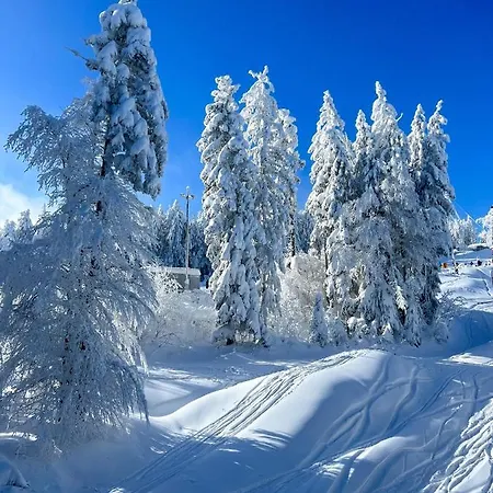 Pohorje Pearl Lux, 2-floor Apartment, In * Hočko Pohorje