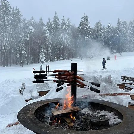 Apartmán Pohorje Pearl Lux, 2-floor Apartment, In *