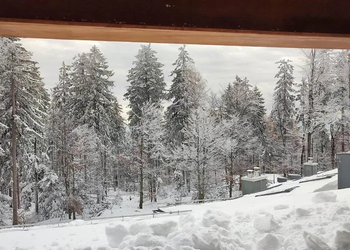 Apartmán Pohorje Pearl Lux, 2-floor Apartment, In Hočko Pohorje