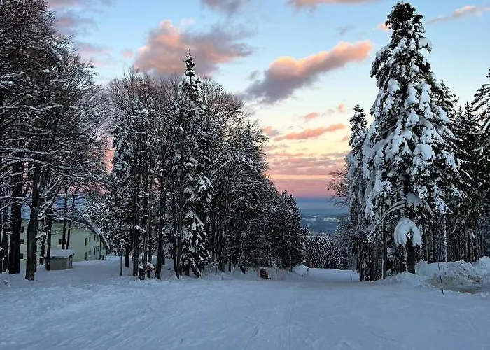 Apartmán Pohorje Pearl Lux, 2-floor Apartment, In