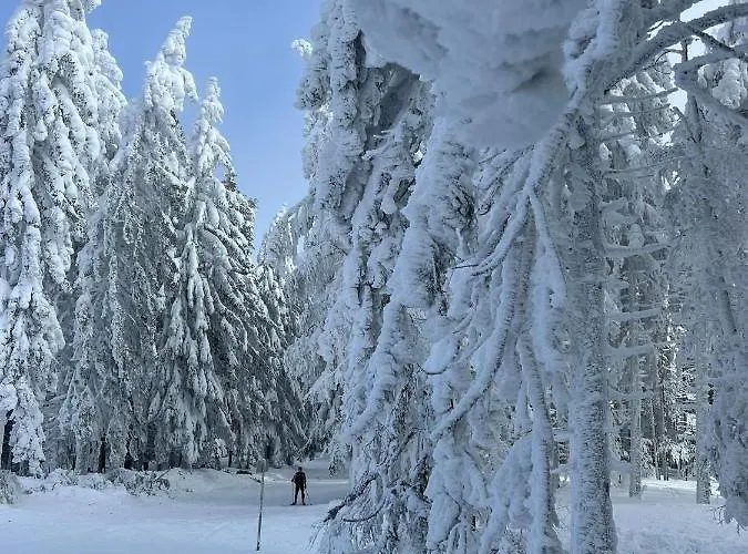 Apartmán Pohorje Pearl Lux, 2-floor Apartment, In *
