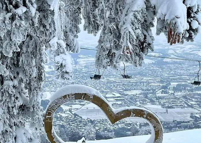 Apartmán Pohorje Pearl Lux, 2-floor Apartment, In *