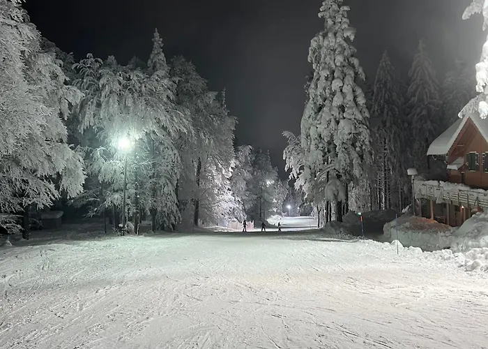 Pohorje Pearl Lux, 2-floor Apartment, In * Hočko Pohorje